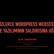 Yüzlerce WordPress website, sahte bir şekilde hacklendi